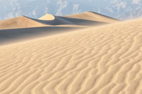 Golden Dunes