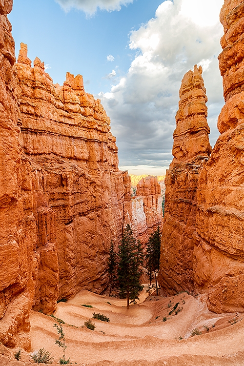 Bryce Trail