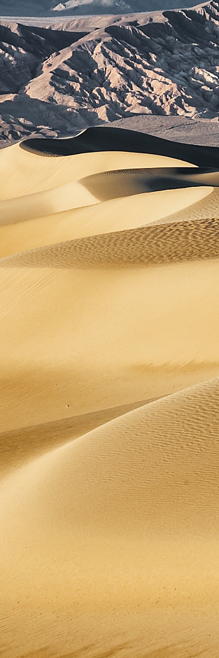 Lines In The Sand